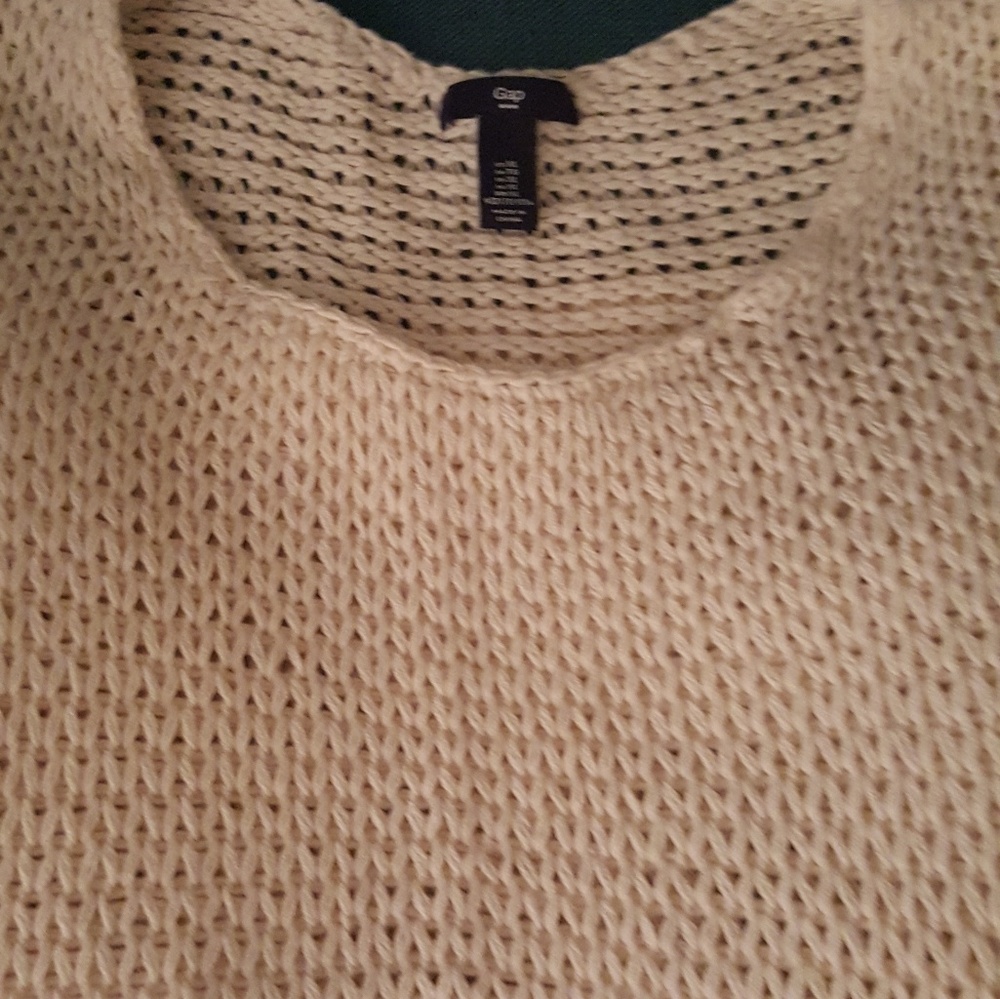 The Gap sweater